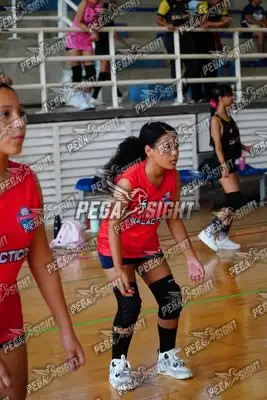 Foto de Gaira