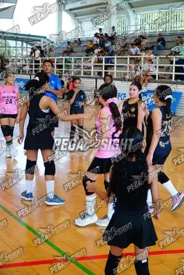 Foto de Taminaca mini