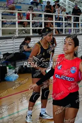 Foto de Taminaca mini