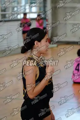 Foto de Taminaca mini