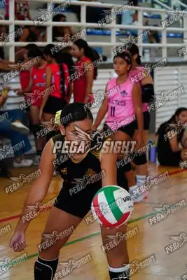 Foto de Taminaca mini