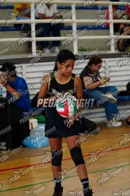 Foto de Taminaca mini