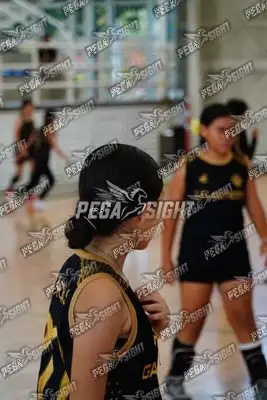 Foto de Taminaca mini