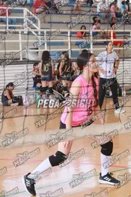 Foto de Coliseo 3