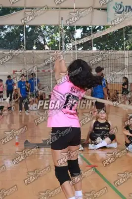 Foto de Coliseo 3