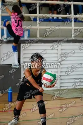 Foto de curinca