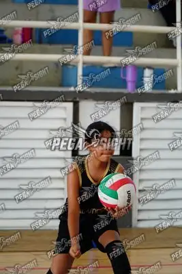 Foto de curinca