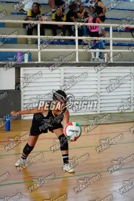 Foto de curinca