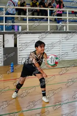 Foto de curinca