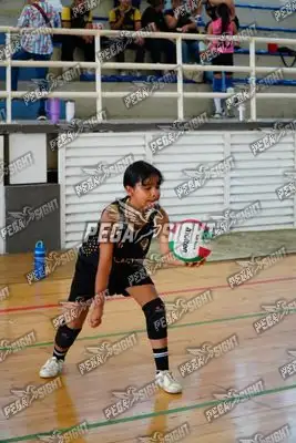 Foto de curinca