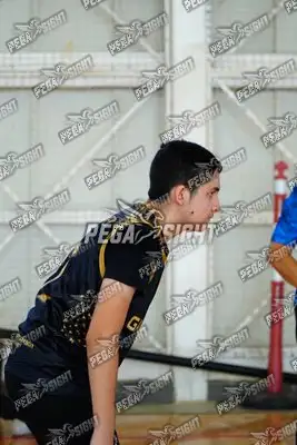 Foto de curinca