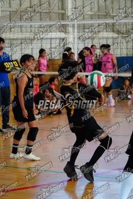 Foto de curinca