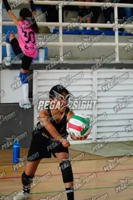 Foto de curinca