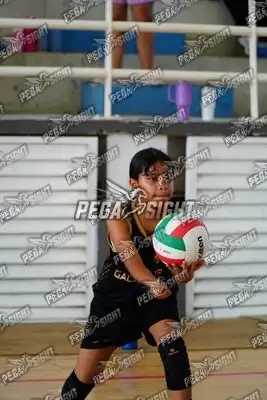 Foto de curinca