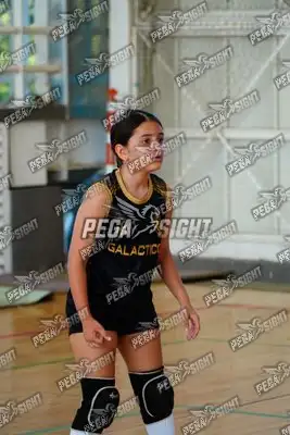 Foto de curinca