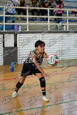 Foto de curinca