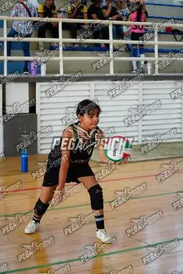 Foto de curinca