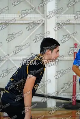 Foto de curinca