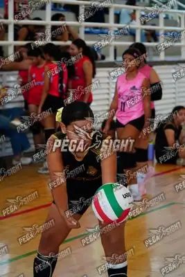 Foto de Coliseo 4