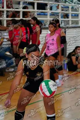 Foto de Coliseo 4