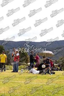 Foto de Tigres