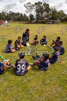 Foto de Tigres
