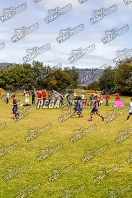 Foto de Tigres