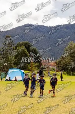 Foto de Tigres