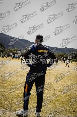 Foto de Tigres