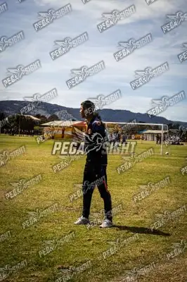Foto de Tigres