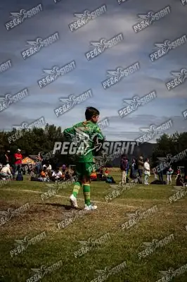 Foto de Tigres