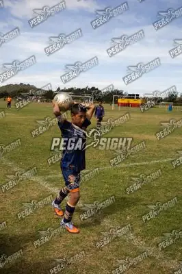 Foto de Tigres