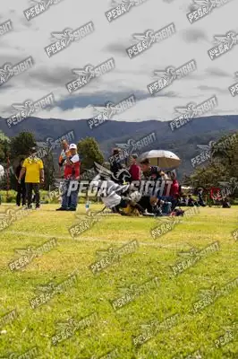 Foto de Tigres