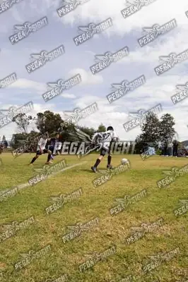 Foto de Compensar FC