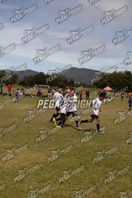 Foto de Compensar FC