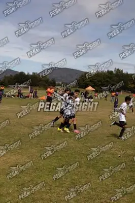 Foto de Compensar FC
