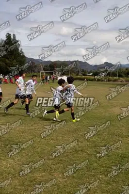 Foto de Compensar FC