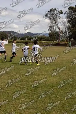 Foto de Compensar FC