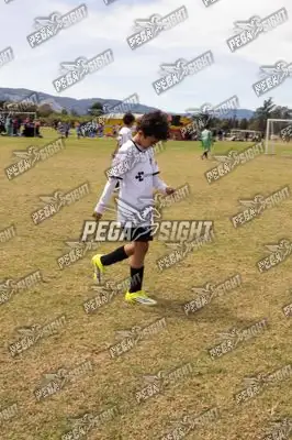 Foto de Compensar FC