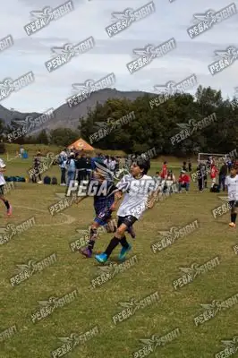 Foto de Compensar FC