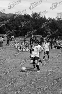Foto de Compensar FC