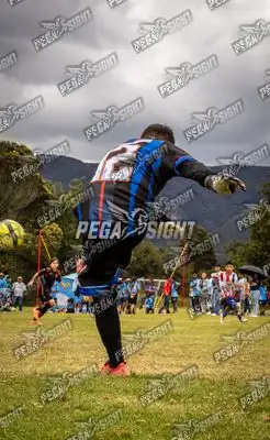 Foto de maracaneiros