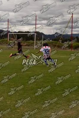 Foto de maracaneiros