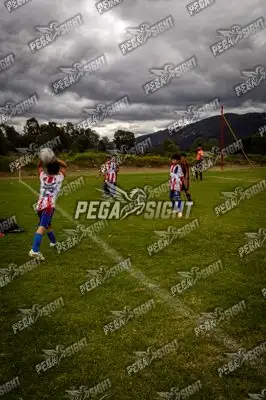 Foto de maracaneiros