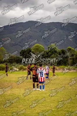 Foto de maracaneiros