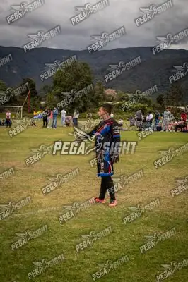 Foto de maracaneiros