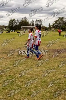 Foto de maracaneiros