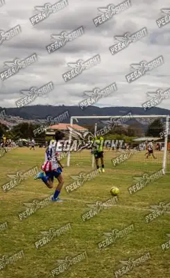 Foto de maracaneiros