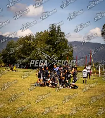 Foto de SANTOS SUB14
