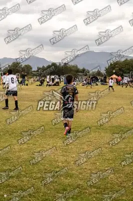 Foto de SANTOS SUB14